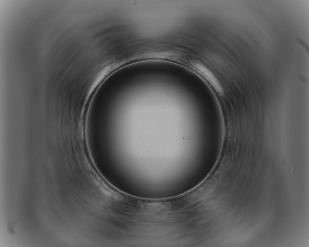 X0000091731436200708311151