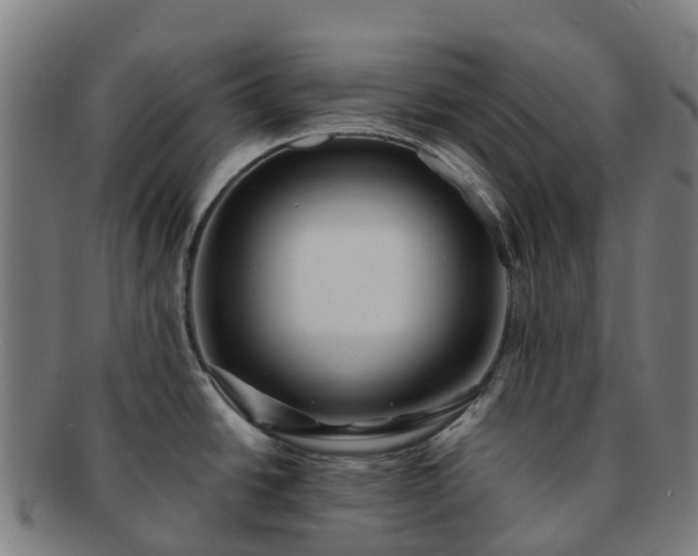 X0000091731438200708311151