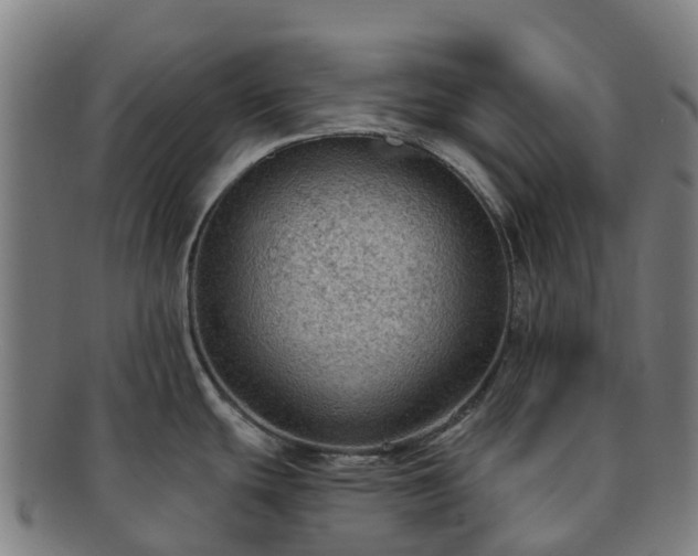 X0000091731439200708311151