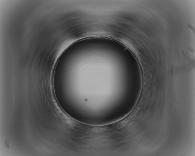 X0000091731440200708311151