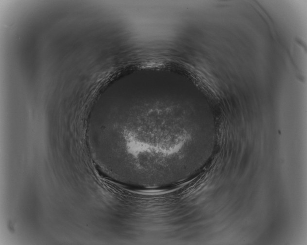 X0000091731441200708311151