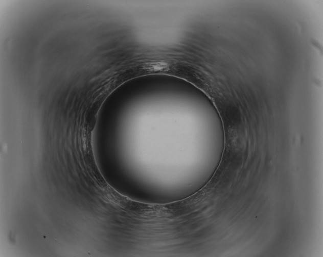 X0000091731442200708311151