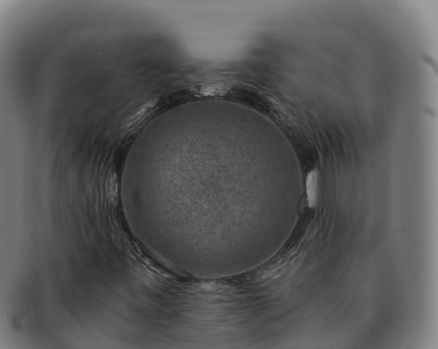 X0000091731443200708311150