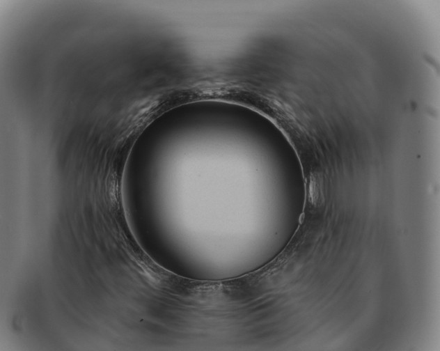 X0000091731444200708311150