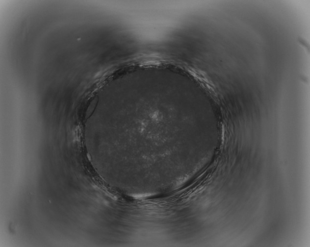 X0000091731445200708311150