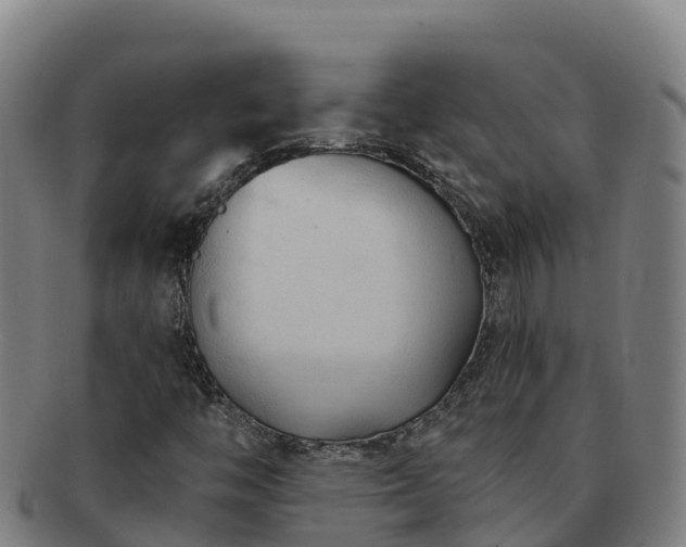 X0000091731446200708311150