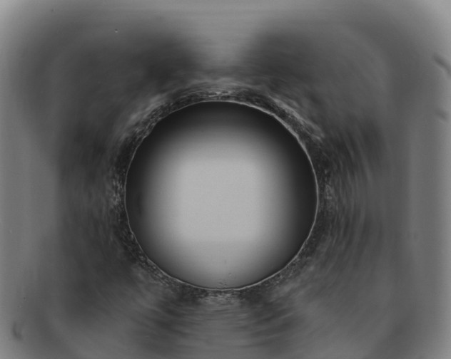 X0000091731447200708311150