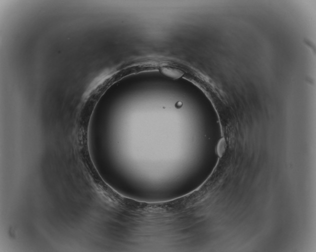 X0000091731448200708311150