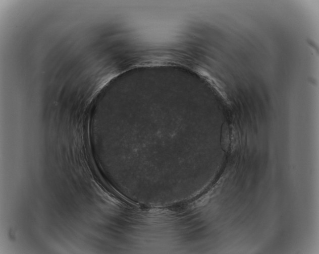 X0000091731449200708311150