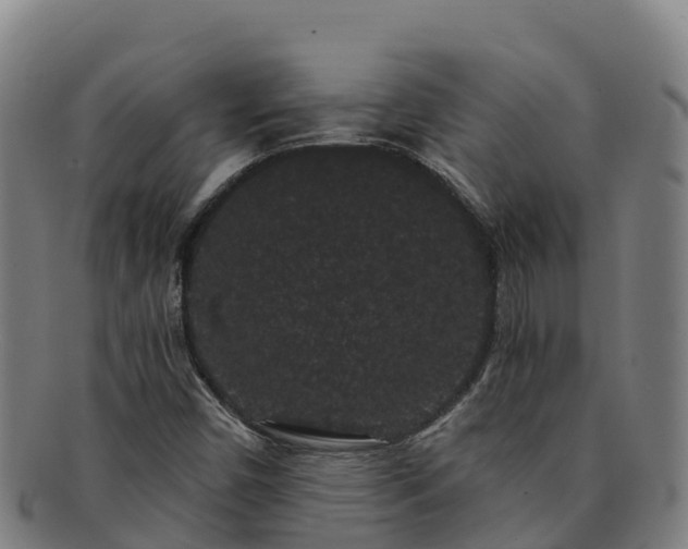 X0000091731450200708311150