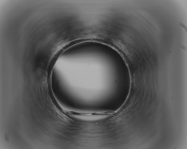 X0000091731452200708311150