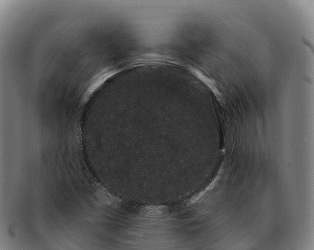 X0000091731453200708311150