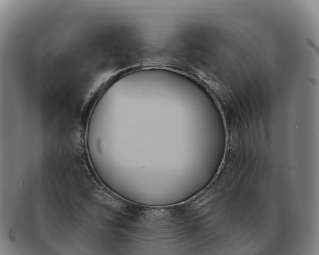 X0000091731454200708311150