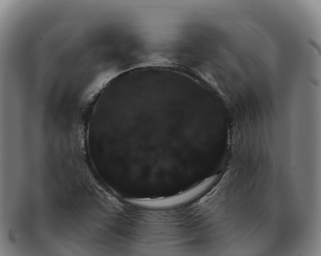 X0000091731455200708311150