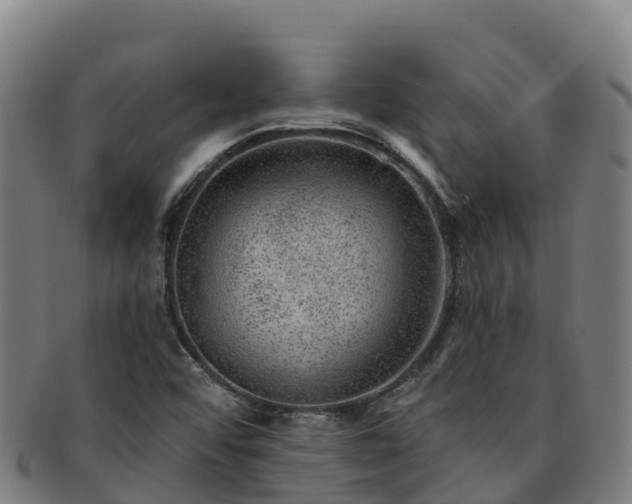 X0000091731456200708311150