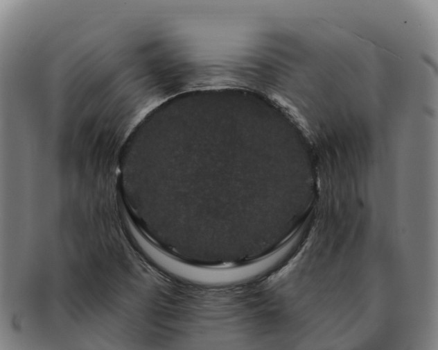 X0000091731457200708311150