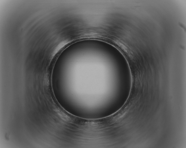 X0000091731458200708311150