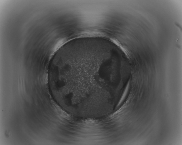 X0000091731459200708311150