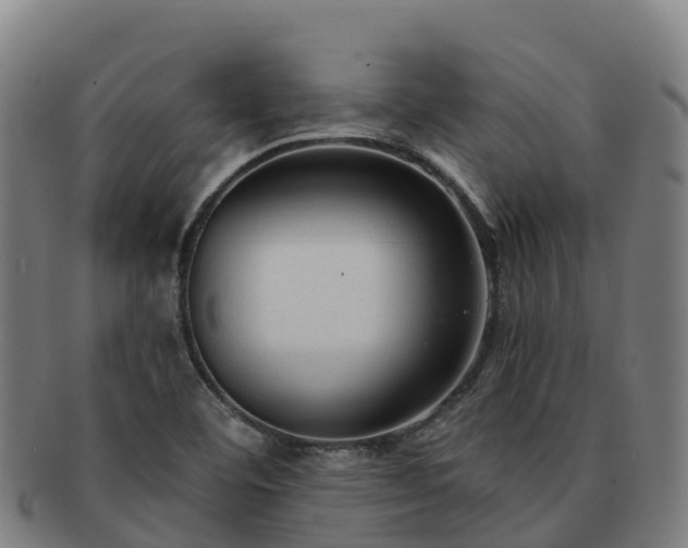 X0000091731460200708311150