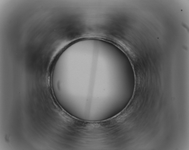 X0000091731462200708311150