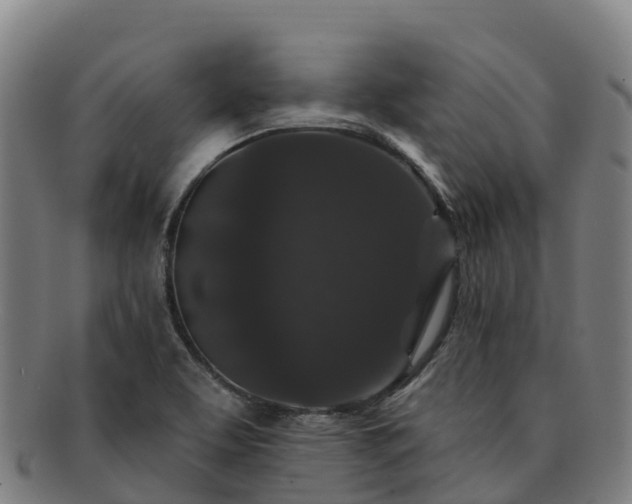 X0000091731463200708311150
