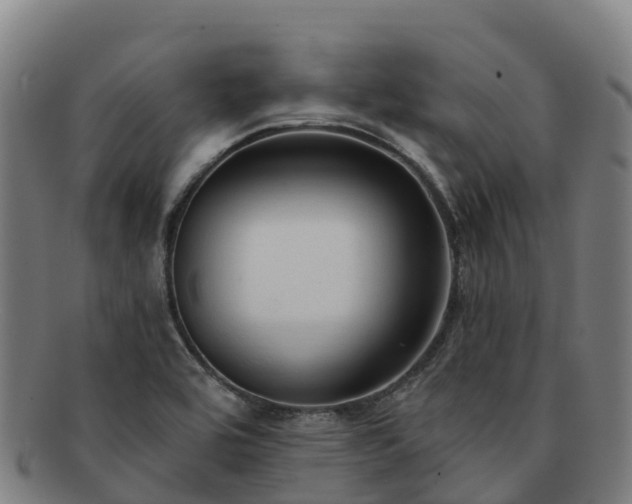 X0000091731464200708311150