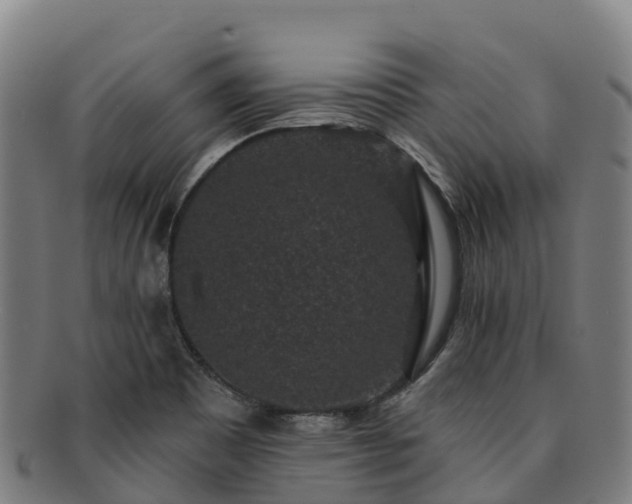 X0000091731465200708311150