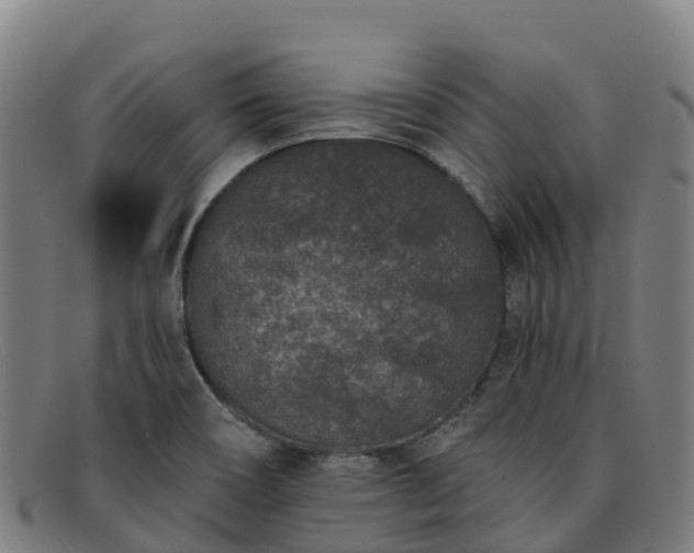 X0000091731466200708311150
