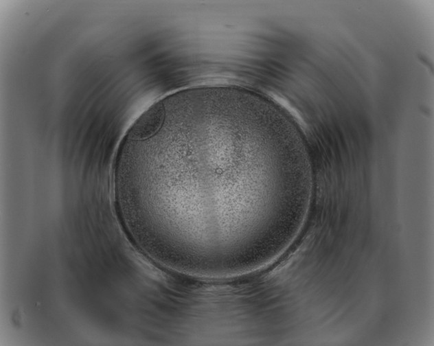 X0000091731467200708311150
