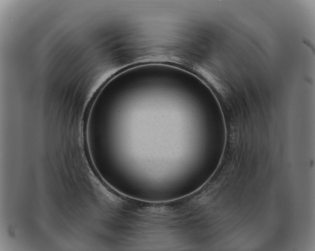 X0000091731468200708311150