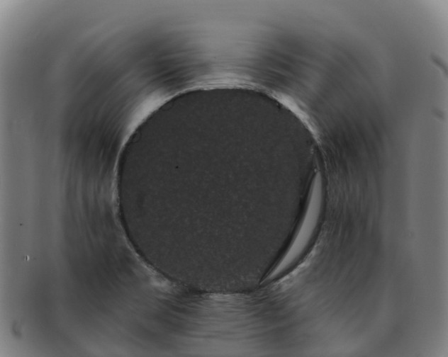 X0000091731469200708311150