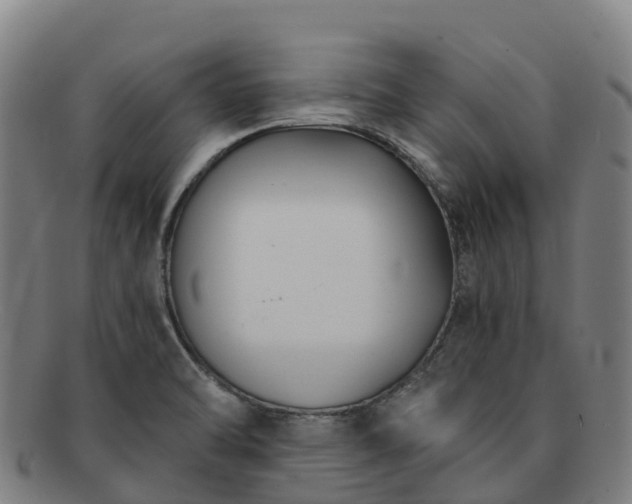X0000091731470200708311150