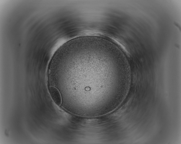X0000091731471200708311150