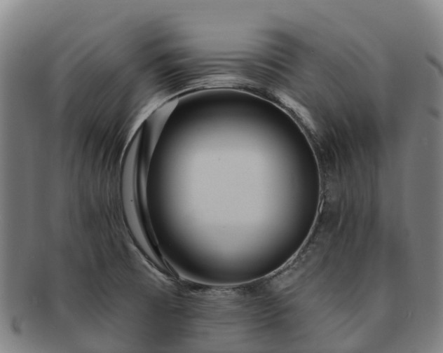 X0000091731473200708311150