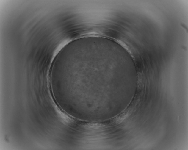 X0000091731474200708311150