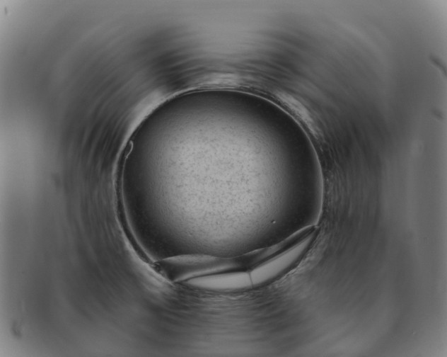 X0000091731475200708311150