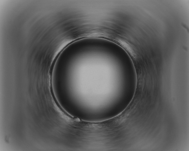 X0000091731476200708311150
