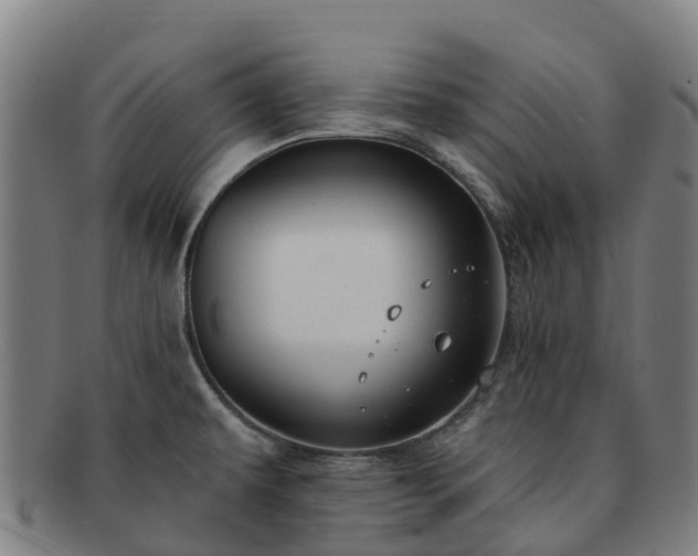 X0000091731479200708311150