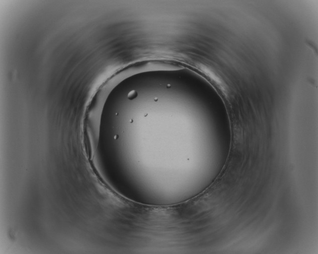 X0000091731480200708311150