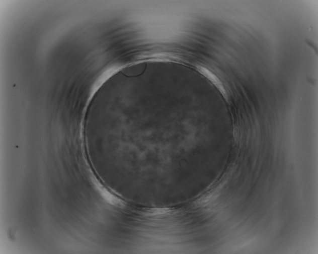 X0000091731482200708311150