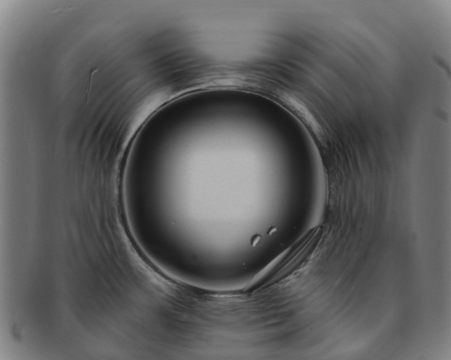 X0000091731483200708311150