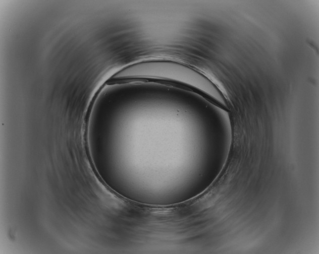 X0000091731484200708311150