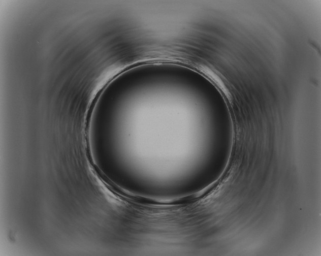 X0000091731485200708311150