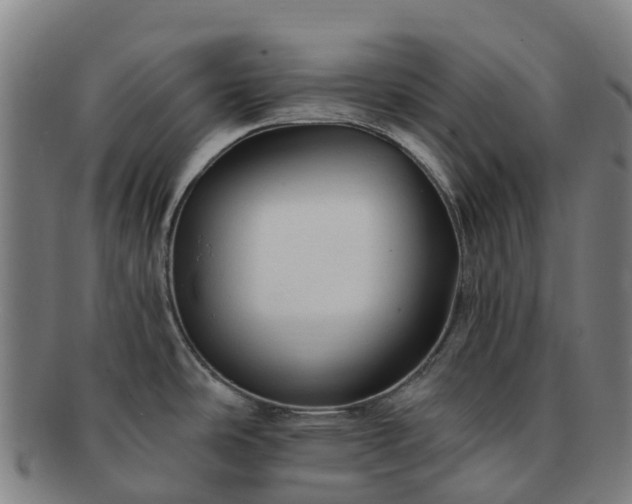 X0000091731486200708311150