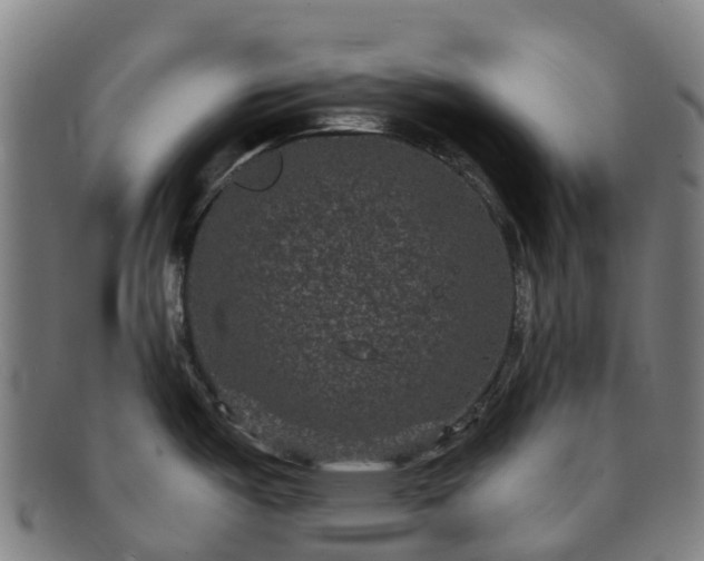 X0000091731487200708311150