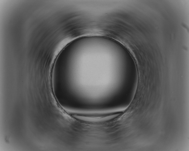X0000091731488200708311150