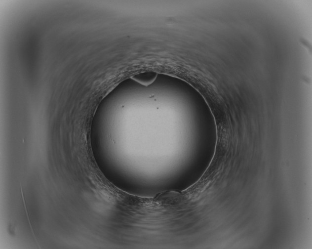 X0000091731489200708311149