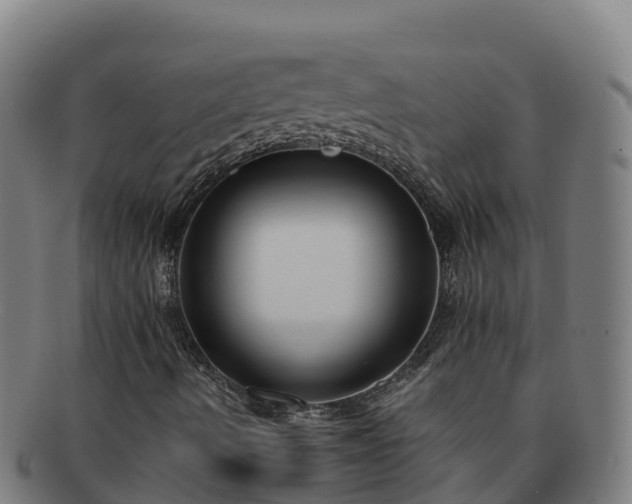 X0000091731490200708311149
