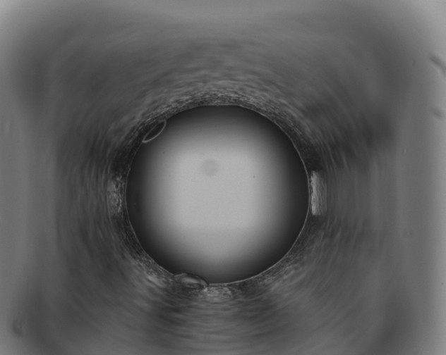 X0000091731491200708311149