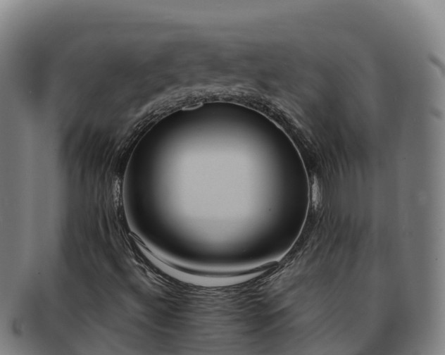 X0000091731492200708311149